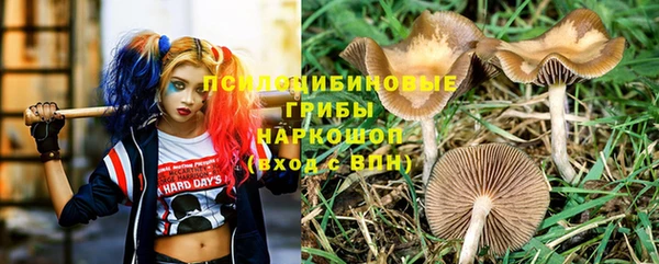 наркотики Богородицк