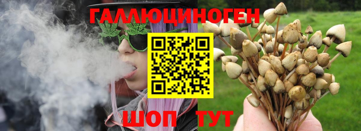 Псилоцибиновые грибы мухоморы  Вход с VPN  Наро-Фоминск  Псилоцибиновые грибы Cubensis 
